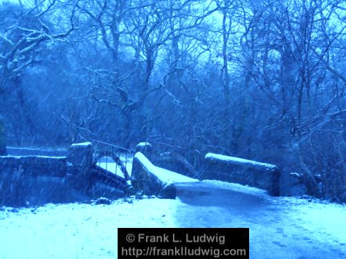 Winter at Doorly Park